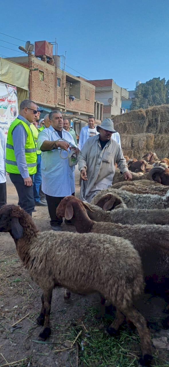 الزراعة وحزب مستقبل وطن يُنفذان سلسلة من القوافل البيطرية في جميع المحافظات