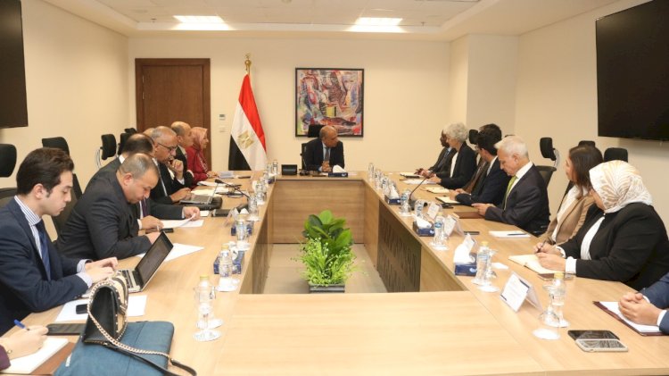 وزير الكهرباء يبحث مع وفد مؤسسة التمويل الدولية "iFC "سبل دعم وتعزيز التعاون المشترك