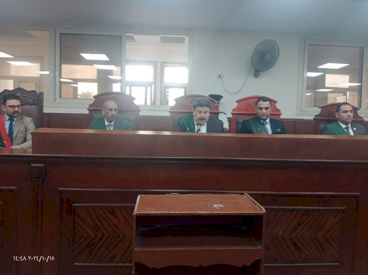 السجن المشدد لكهربائى قام بالتحرش وسرقة طالبة جامعية