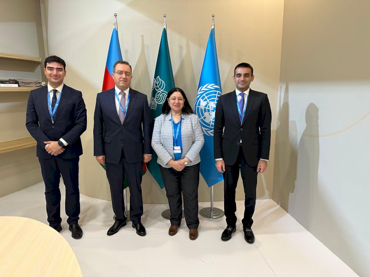 التضامن تشارك في أعمال مؤتمر تغير المناخ cop29 بالعاصمة الأذربيجانية "باكو"