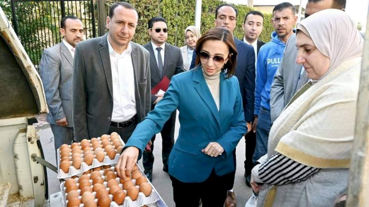 البحيرة تطلق اكبر قافلة لتوفير بيض المائدة بالأسعار المخفضة