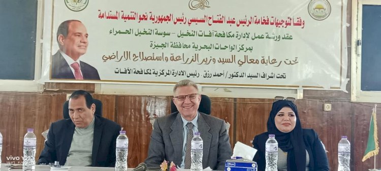 مكافحة الآفات تطلق مبادرة لمكافحة سوسة النخيل بالواحات