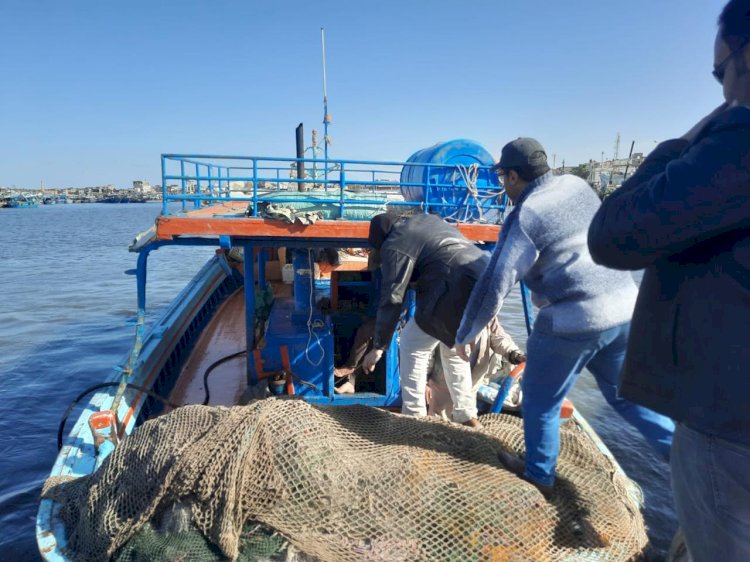 فتح الأسواق الاوروبية امام المنتجات السمكية المصرية