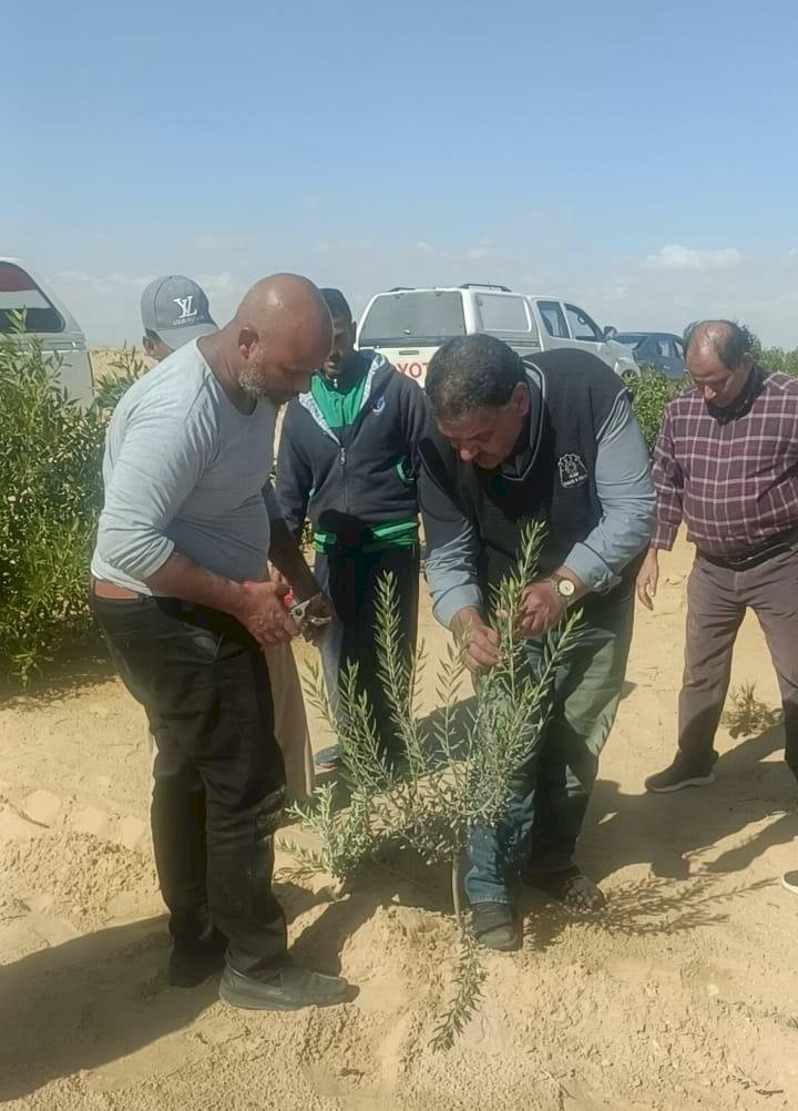 تقديم خدمات إرشادية لمزارعي سيناء ضمن مبادرة مركز بحوث الصحراء