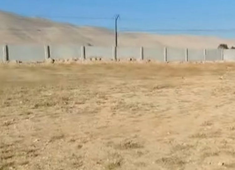 سائق سوري يجبر علي دفن 200 ألف جثه علي مدار خمس سنوات في ريف دمشق