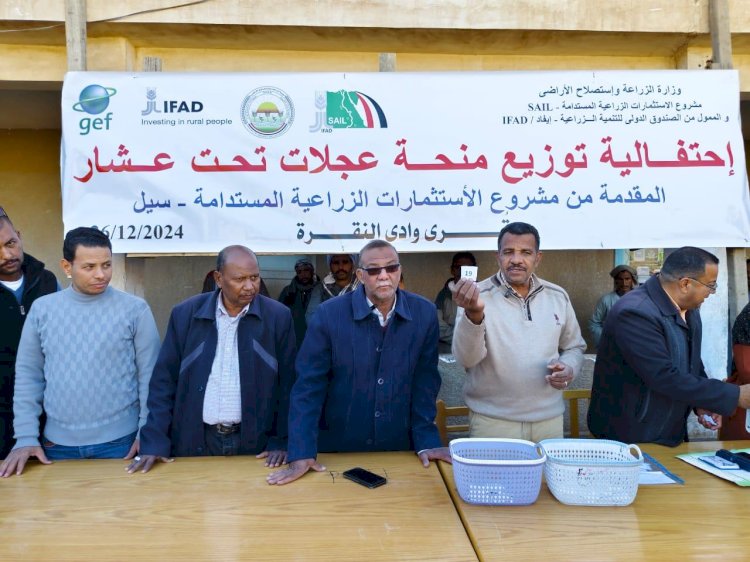 الزراعة توزع ابقار مجانية على 46 سيدة  بالتعاون مع الإيفاد بأسوان