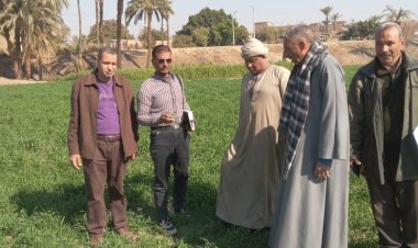 منبر