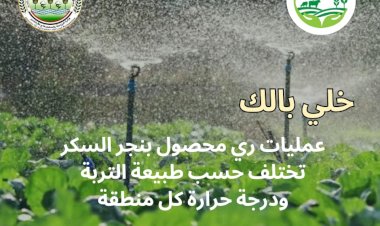 منبر