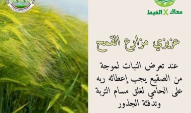 منبر