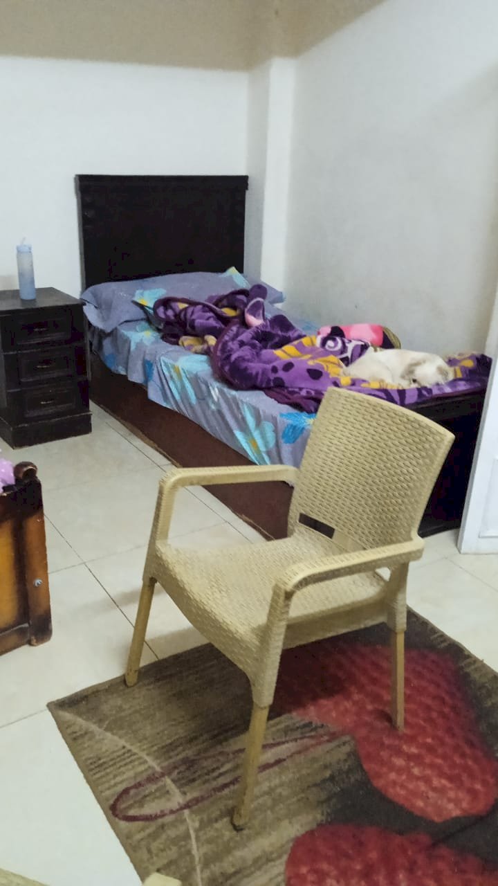 احالة واقعة التحرش بربة منزل  بدار مسنين للنيابة العامة