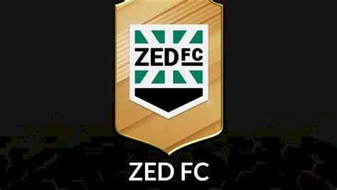 هل اقترب لاعب زد من النادي الأهلي؟