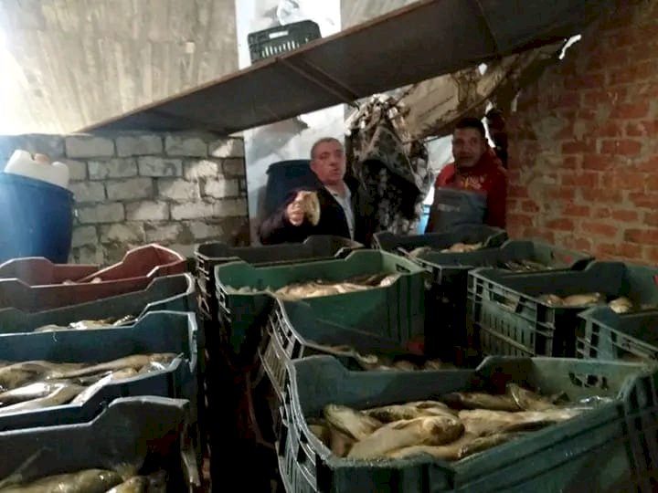 ضبط اسماك غير صالحة بمدينة فوه  بكفر الشيخ