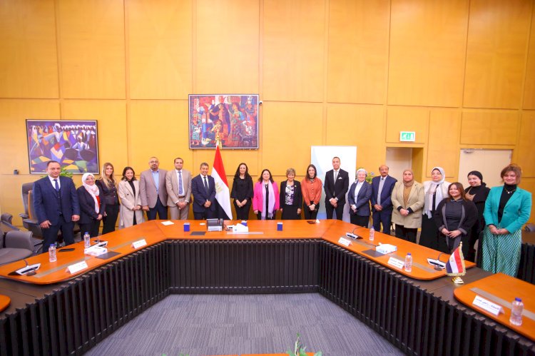 تعاون بين التضامن ومؤسستي ويل سبرنج وويل سبرنج لتنمية الأسرة