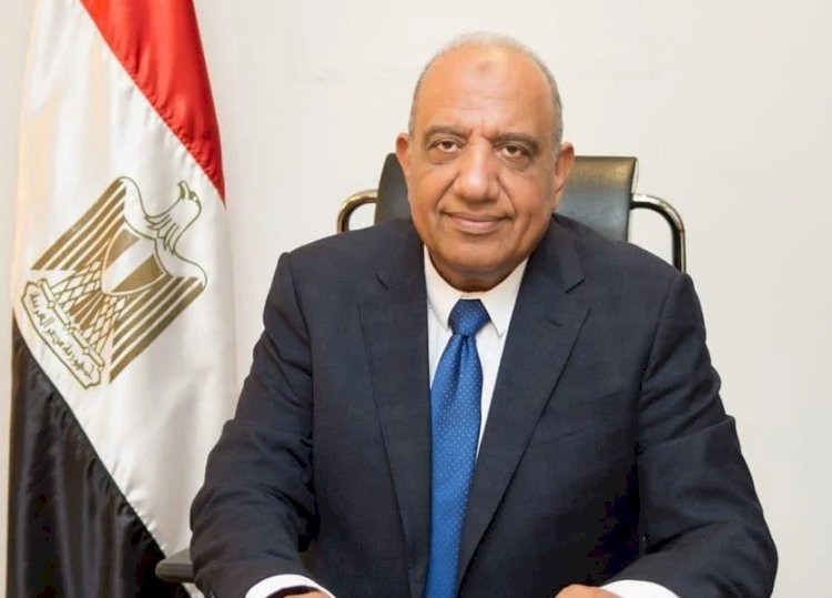 وزيرا الكهرباء وقطاع الأعمال يبحثان التعاون في مجال الطاقة والتحول الأخضر