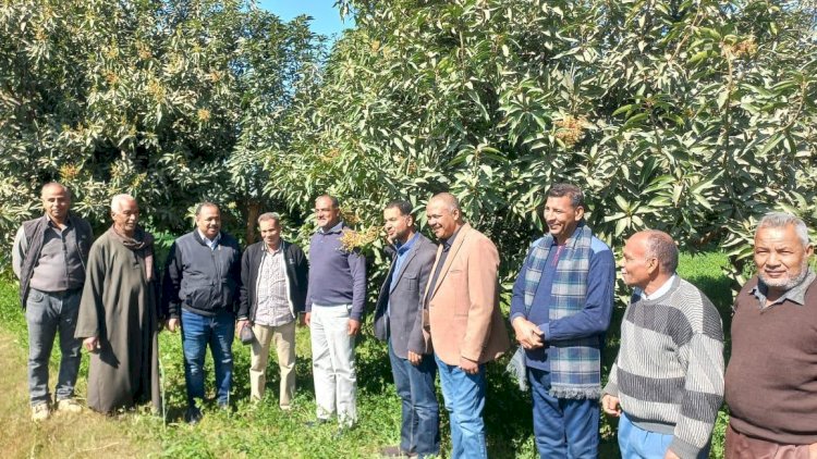 أنشطة متنوعة بحثيّة وإرشادية وتدريبيّة وشراكة دولية لمركز البحوث الزراعية