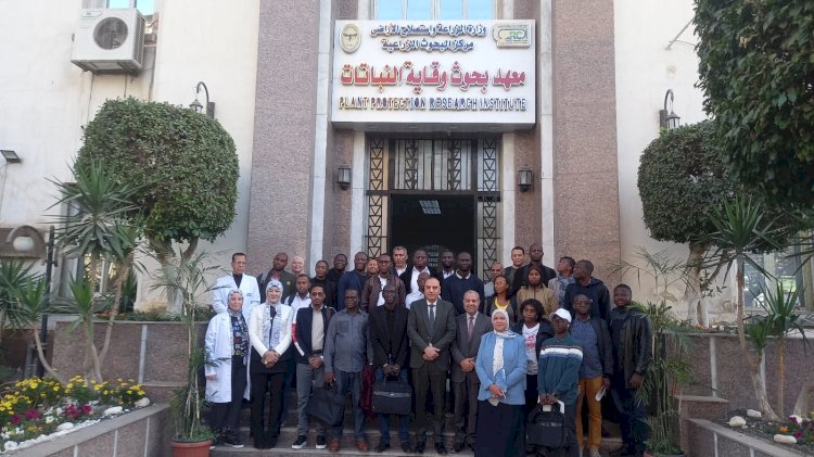 وقاية النباتات يستقبل وفدا لتعزيز التعاون العلمي بين مصر ودول القارة الأفريقية