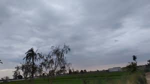 أجواء شتوية.. الغيوم تغطي سماء المنيا