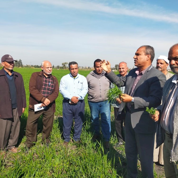 المركزية لمكافحة الآفات تنظم حملات توعوية لمكافحة الأفات الزراعية