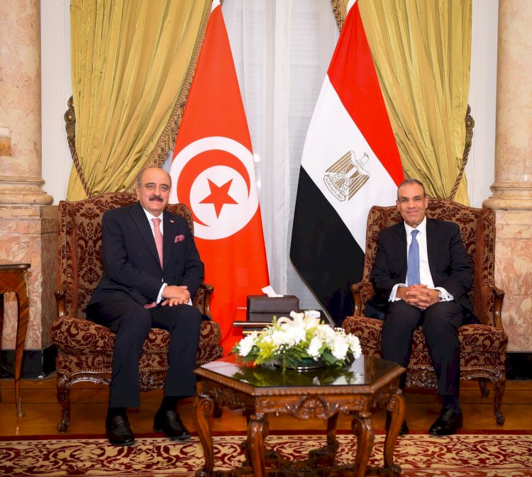 وزير الخارجية: لا بديل عن الدولة الفلسطينية والتهجير مرفوض