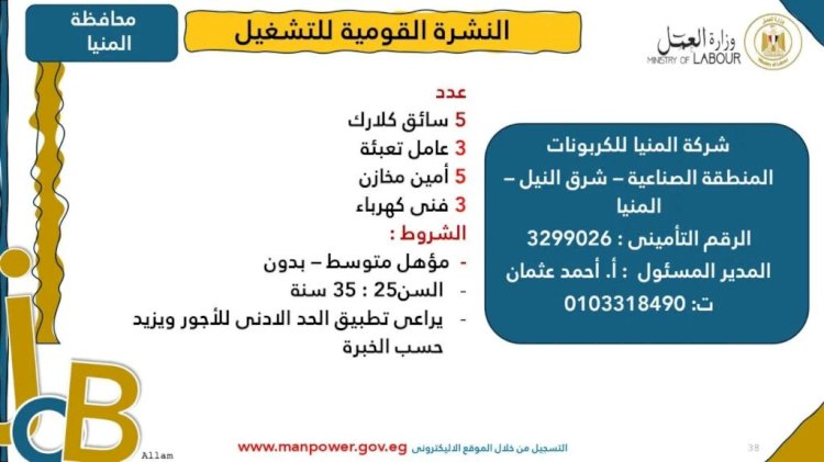 وزارة العمل تعلن عن وظائف جديدة في محافظة المنيا.. تعرف عليها