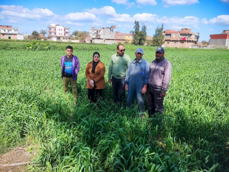 المركزية للإرشاد الزراعي تتواجد مع المزارعين بالدقهلية