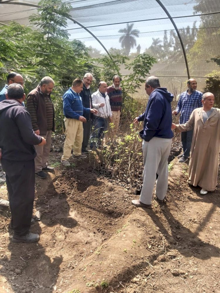 الزراعة : تنفيذ 1372 نشاطًا إرشاديًا متنوعًا النصف الأول من شهر مارس