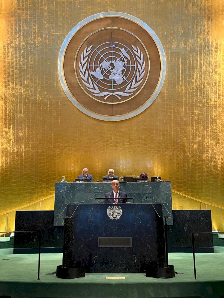 شيخ الأزهر للأمم المتحدة: يجب مكافحة ظاهرة الكراهية