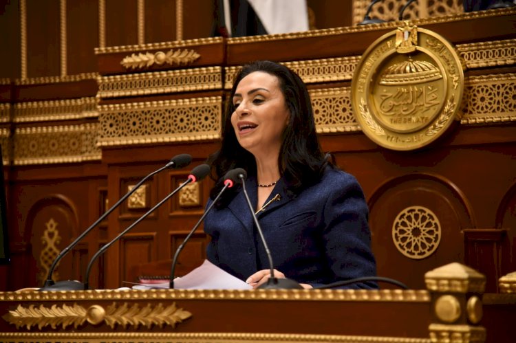 مايا: زيادة المخصصات المالية لبرامج الحماية الاجتماعية المختلفة بالتعاون مع الوزارات