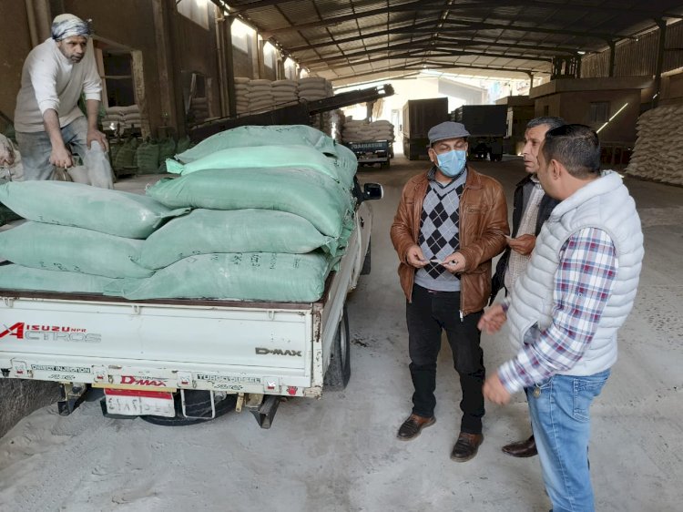 حملات تموينية بكفر الشيخ تسفر عن ضبط قضايا دقيق بلدى مدعم