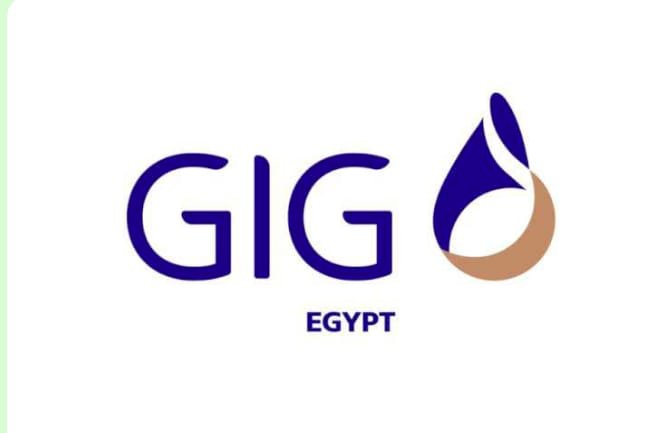 GIG-Egypt تنظم حفل إفطارها السنوي