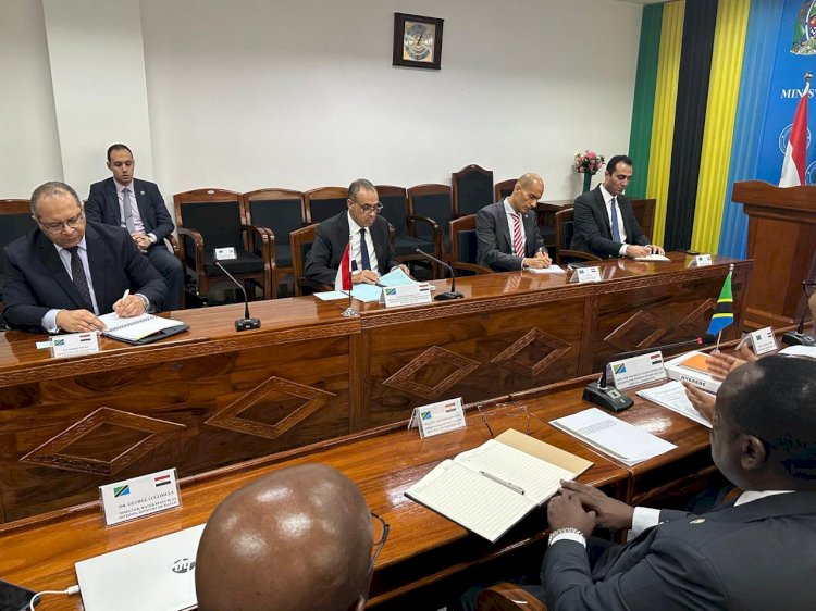 جلسة مباحثات لوزير الخارجية مع نظيره التنزانى