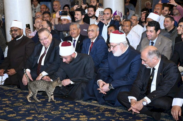 الازهري يشهد احتفال وزارة الأوقاف بذكرى فتح مكة بمسجد السيدة زينب