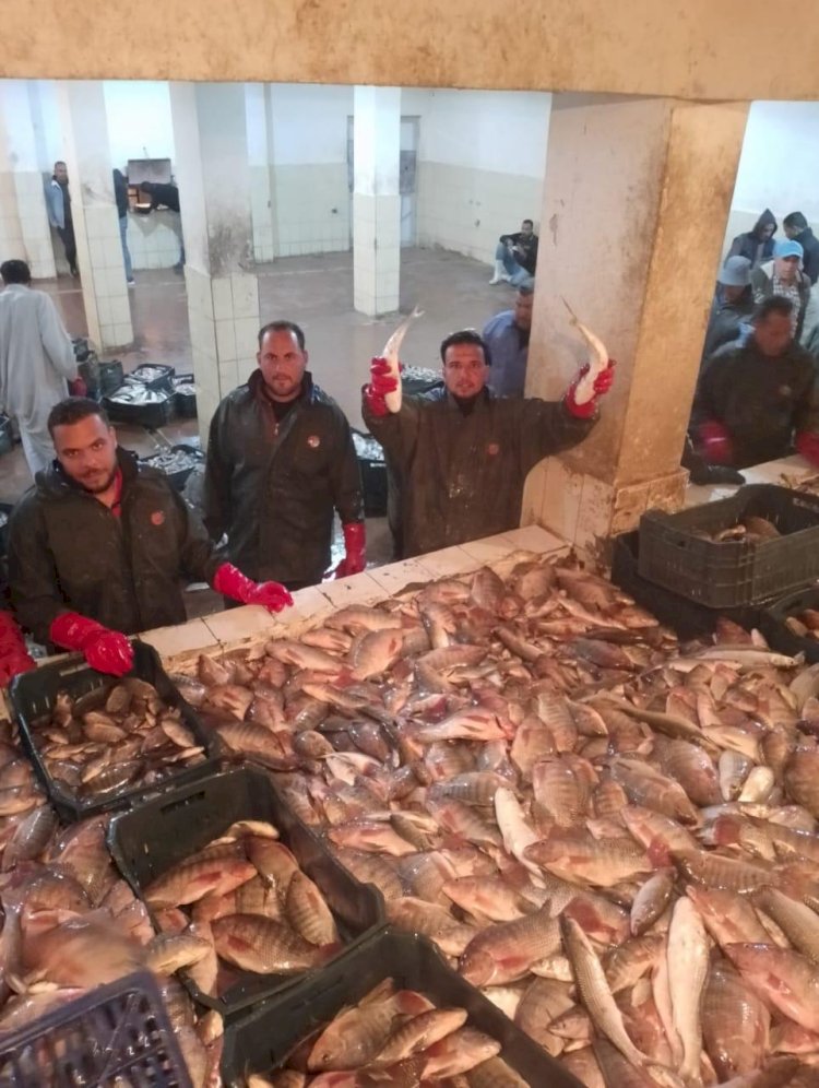 حماية وتنمية البحيرات يواصل الصيد في عدد من المواقع الإنتاجية المختلفة