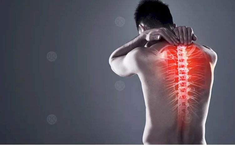 دراسة حديثة تكشف عن مفاجأة لمرضي آلام الظهر