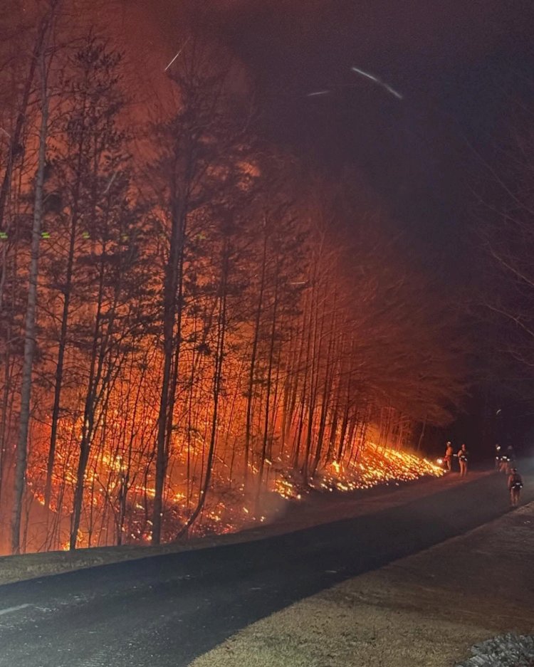 الحرائق تعود من جديد .. إخلاء بالأمر لسكان بولاية نورث كارولينا الأمريكية