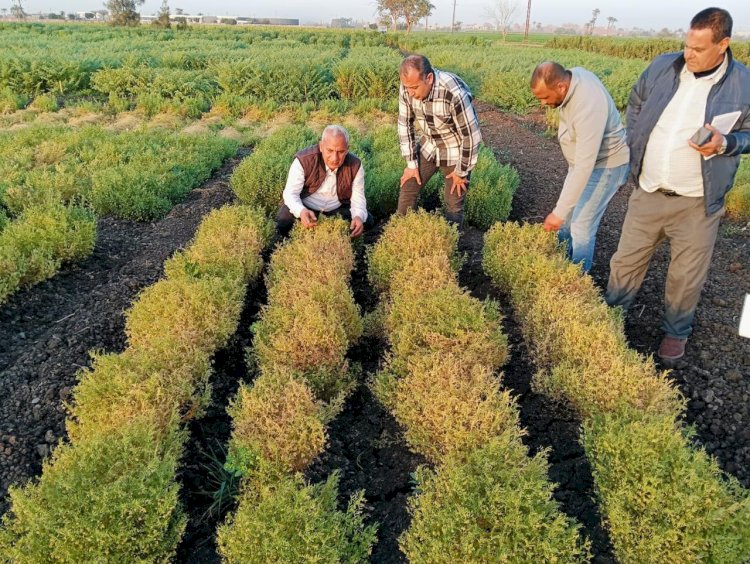 انجازات مركز البحوث الزراعية في اسبوع