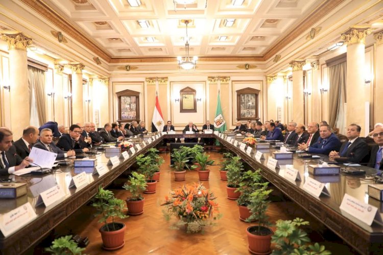 رئيس جامعة المنيا يشارك فى اجتماع المجلس الأعلى للجامعات بالقاهرة