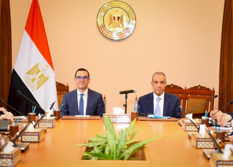 إجتماع تنسيقي بين وزارتى الخارجية والاستثمار لدعم الاقتصاد الوطنى