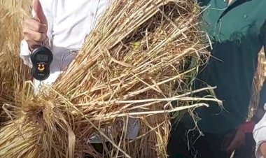 منبر