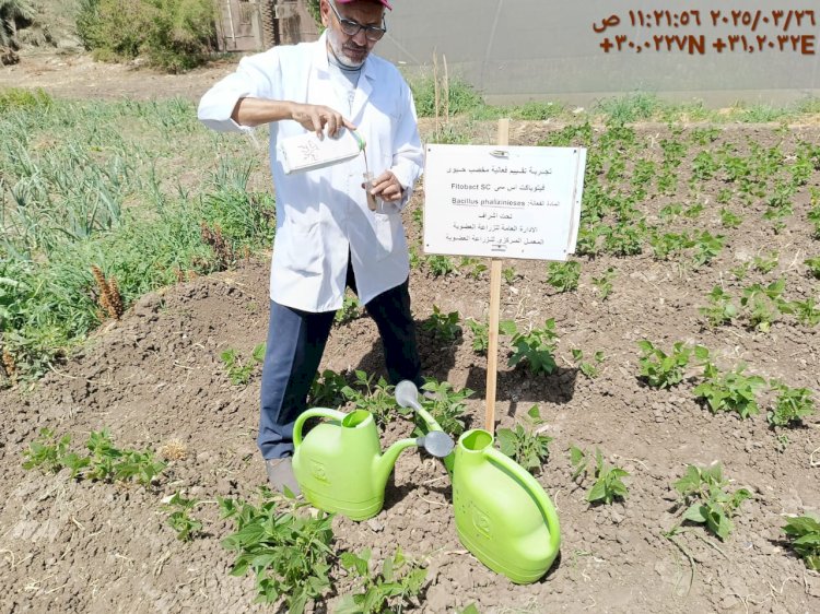 حصاد وأنشطة المعمل المركزي للزراعة العضوية مارس 2025