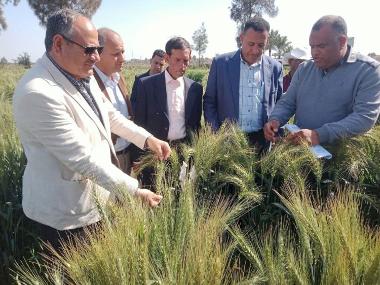 انجازات مركز البحوث الزراعية في اجازة عيد الفطر