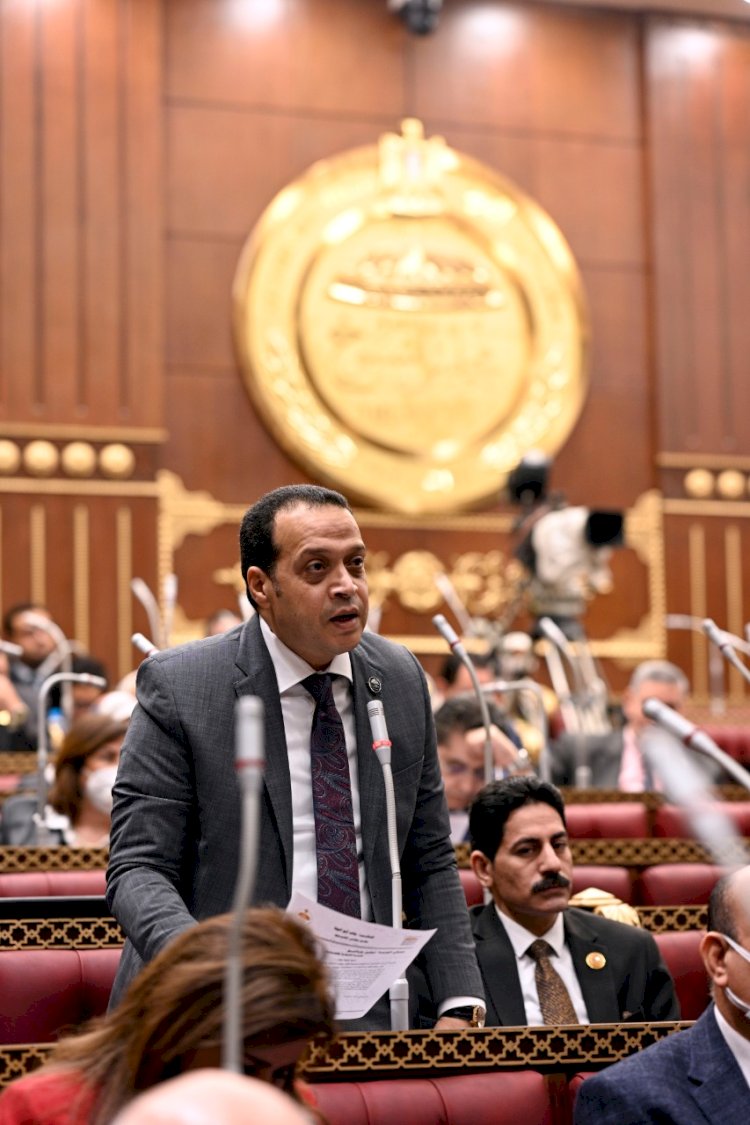 التوجيه الرئاسي بإلغاء تعدد الرسوم خطوة استراتيجية لتحفيز الاستثمار