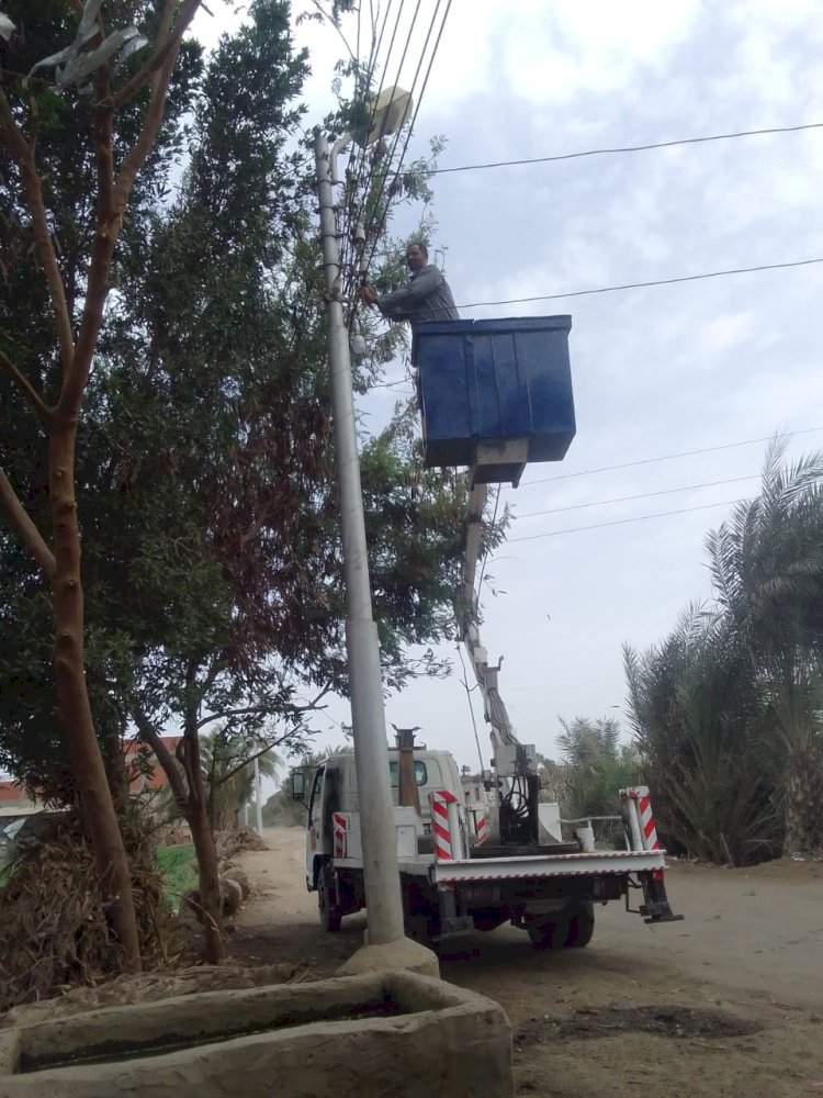 العناية الألهية تنقذ أهالي قري بني سويف من سقوط شجرة كبيرة بطريق بنى حلة