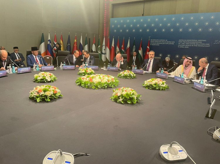 وزير الخارجية يشارك في اجتماع اللجنة الوزارية العربية الإسلامية حول غزة