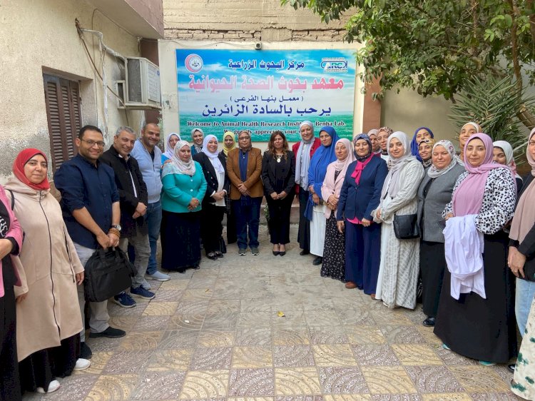 حصاد مركز البحوث الزراعية في" ٧" أيام