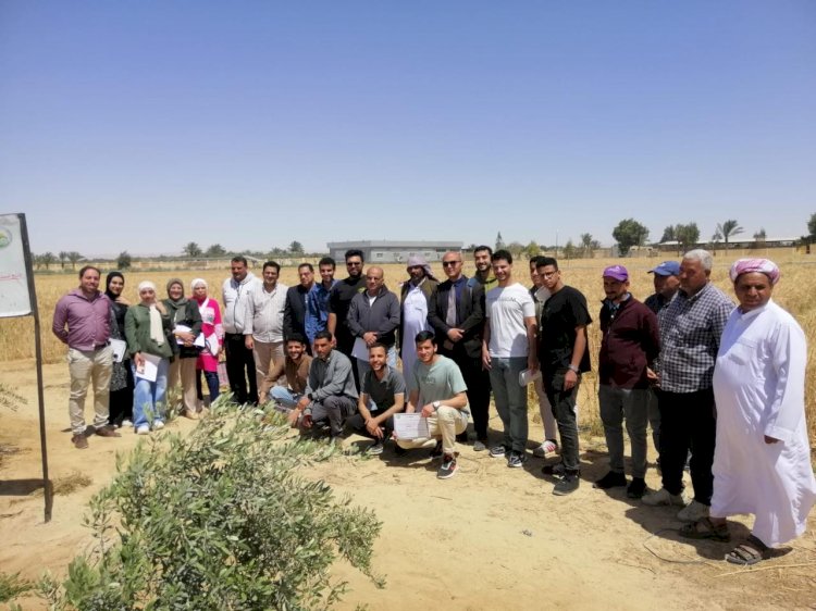 بحوث الصحراء ينظم ورشة حول الإدارة المتكاملة للأسمدة لتحقيق التنمية الزراعية