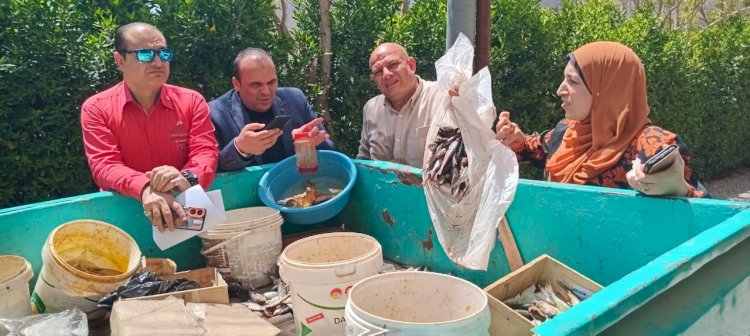 حملات تموينية مكثفة على المخابز والمحلات والأسواق بكفر الشيخ