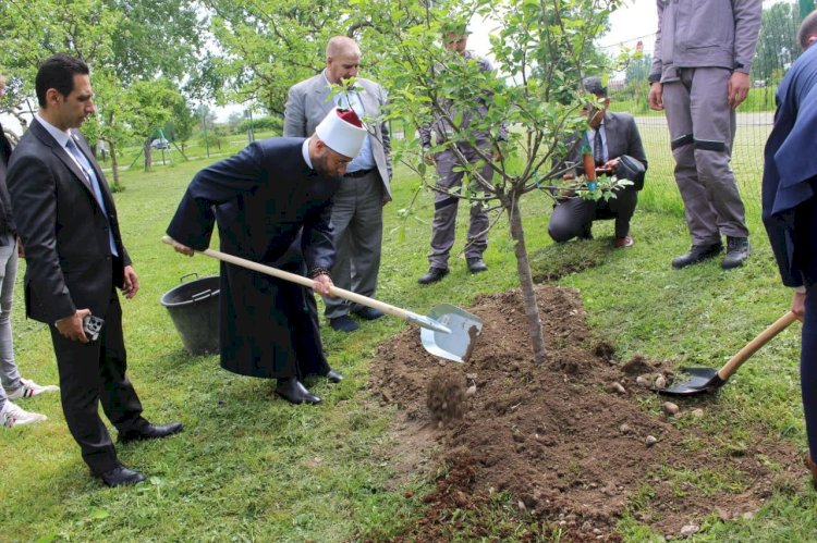 وزير الأوقاف يغرس شجرة في محيط الجمعية الإسلامية والنصب التذكاري للشهداء بزغرب