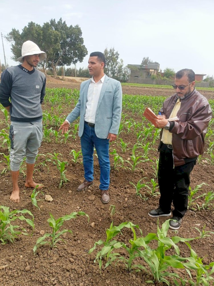 حملات مكثفة لمكافحة الآفات لنشر الوعي بين المزارعين بالمحافظات