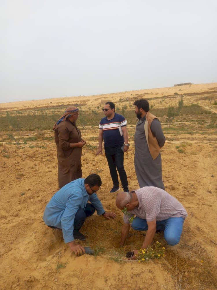 بحوث الصحراء  يواصل دعم دمج أبناء سيناء في التنمية الزراعية المستدامة